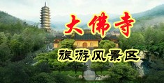 看逼往里操中国浙江-新昌大佛寺旅游风景区